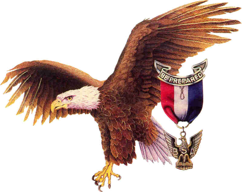 Eagle Scout - Greatest Accomplishment - To Succeed you need the 3 D's