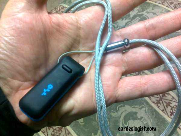 Steve's fitbit on a leash