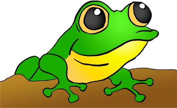 Frog Image (Doodle Blog) - Frog Acronym