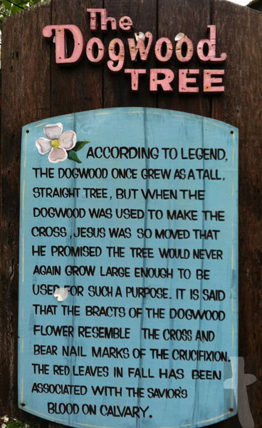 The Dogwood Tree (Legend Plaque at Dollywood) - According to legend, the Dogwood once grew as a tall, straight tree, but when the Dogwood was used to make the cross, Jesus was so moved that He promised the tree would never again grow large enough to be used for such a purpose. It is said that the bracts of the Dogwood flower resemble the Cross and bear nail marks of the crucifixion. The Red leaves in fall has been associated with the Savior's Blood on Calvary.