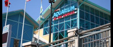 Ripley's Aquarium of the Smokies