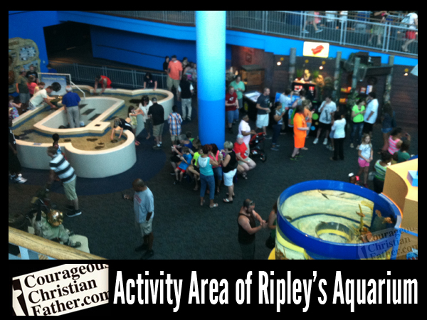 Ripley's Aquarium of the Smokies - Activity Area