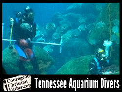 Tennessee Aquarium Divers
