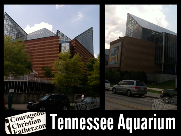 Tennessee Aquarium in Chattanooga review