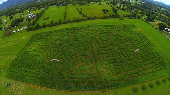 Arial shot of Oakes Farms - Corn Maze 2014