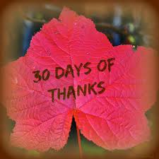 30 Days of Thanksgiving Day 20