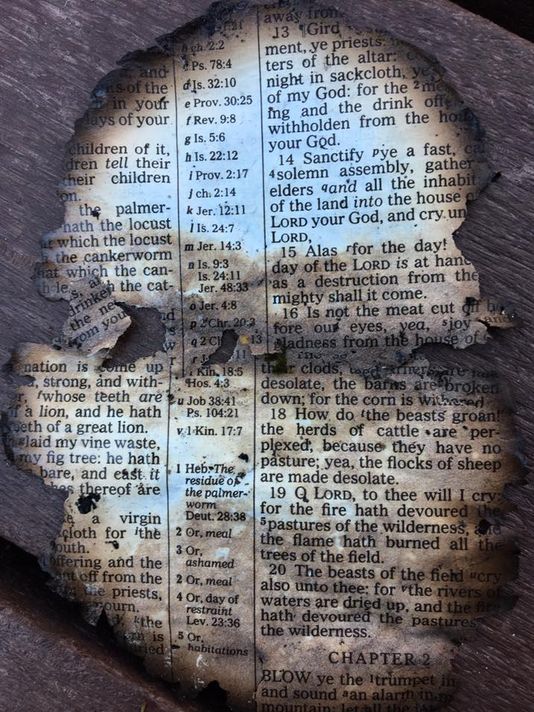 Burned Bible Page found at Dollywood from the Wildfires