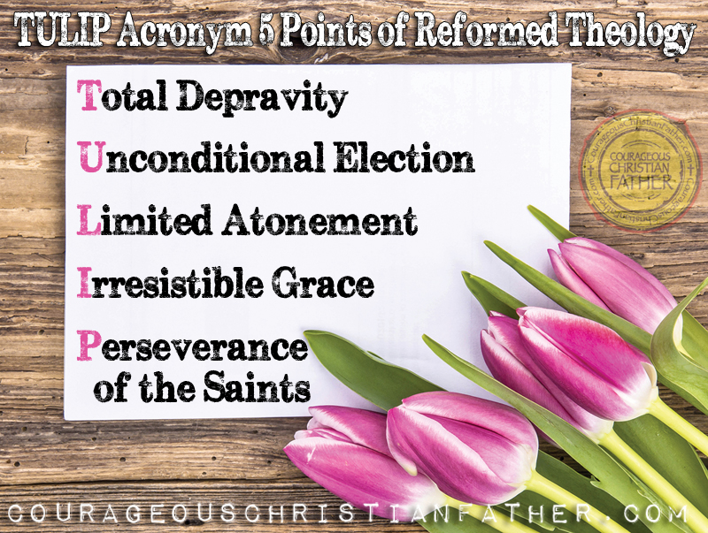 TULIP Acronym for the 5 Points Reformed Theology (Total Depravity, Unconditional Election, Limited Atonement, Irresistible Grace, Perseverance of the Saints) #TULIP