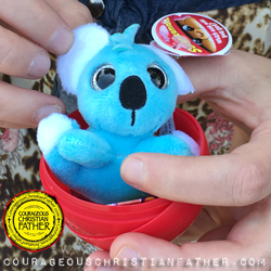 Kimmy Koala (Kimmy loves to climb trees! Birthday: August 24 - Favorite Color: Baby Blue) #Surprizamals