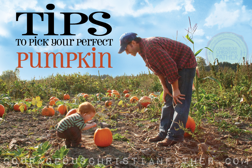 Tips to pick your perfect pumpkin #Pumpkin