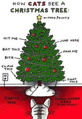 How cats see Christmas Trees