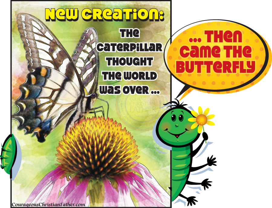 New Creation: The caterpillar thought the world was over ... Then came the butterfly