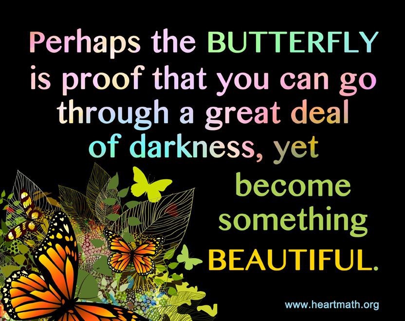 New Creation: Beautiful butterfly - Perhaps the BUTTERFLY is proof that you can go through a great deal of darkness, yet become something BEAUTIFUL. (Heartmath)