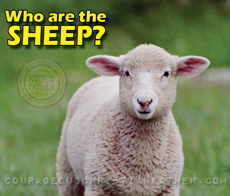 Who are the Sheep?