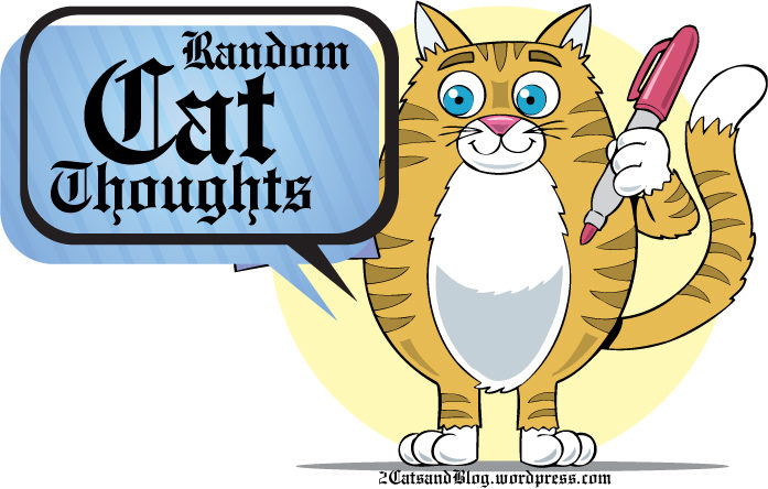 Random Cat Thoughts - some random thoughts about cats. 