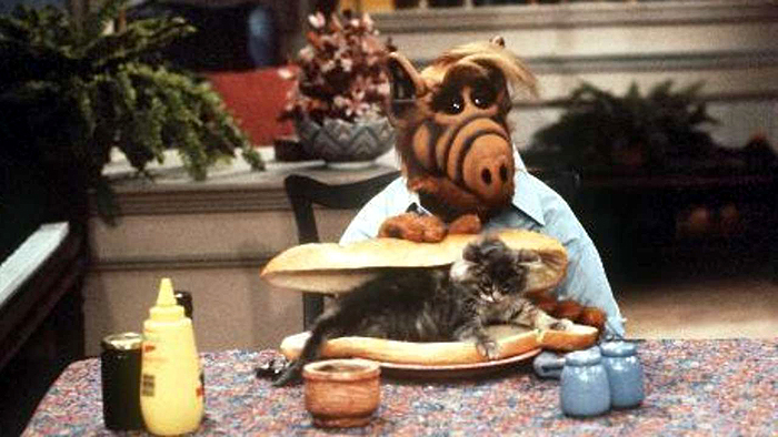 Cats least favorite show is Alf - Alf trying to eat a cat sandwich.