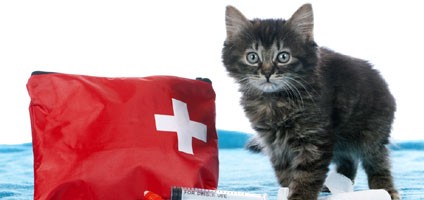 First Aid for Dogs and Cats