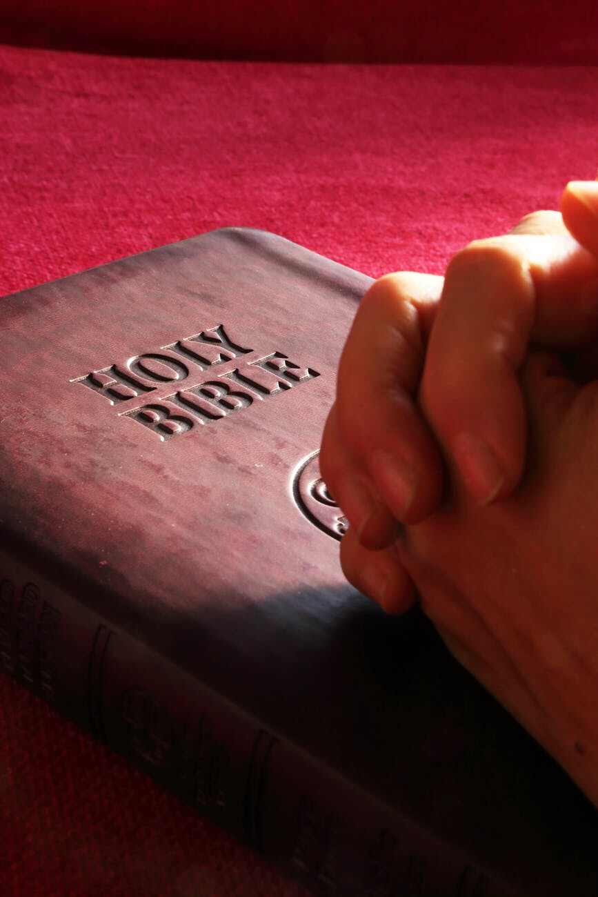 America’s Appetite for the Bible Grows