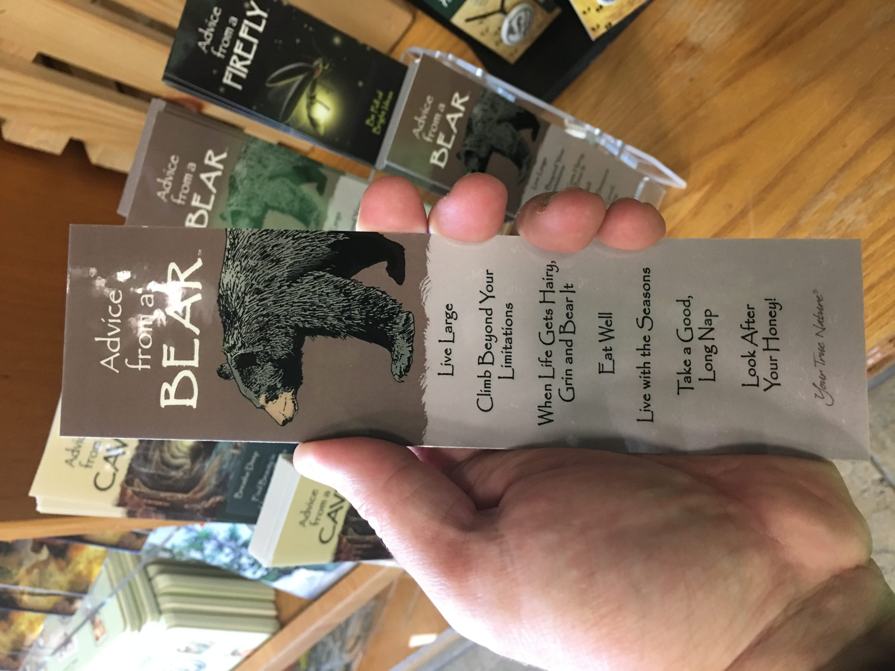 Advice from a Bear Bookmark