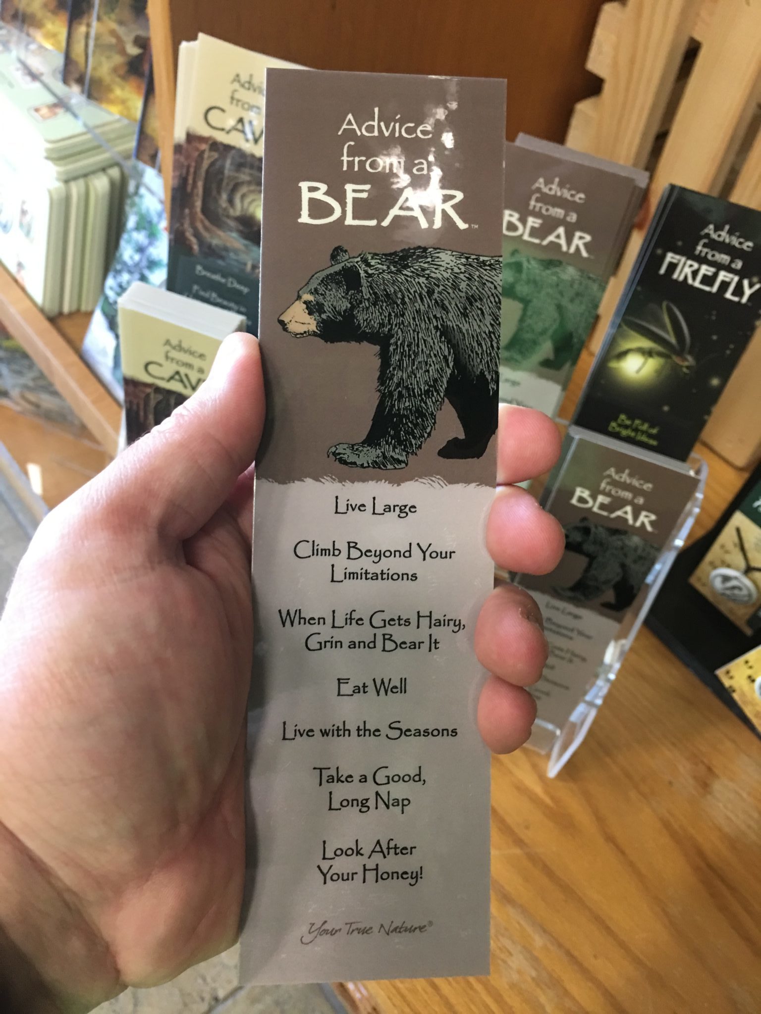 Advice from a Bear Bookmark