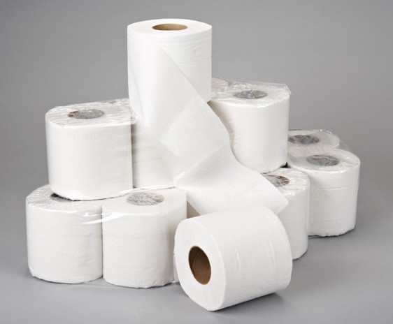 Toilet Paper Day