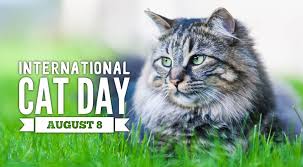 International Cat Day