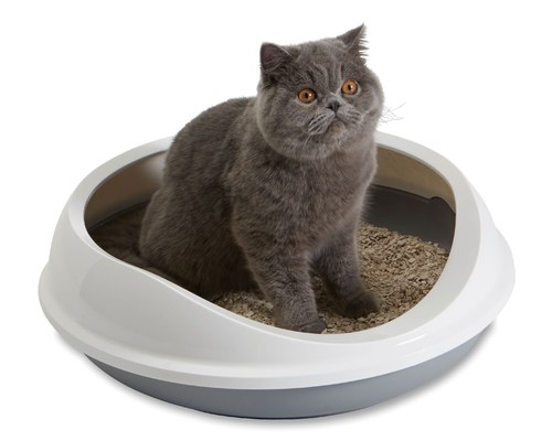 Litter box etiquette