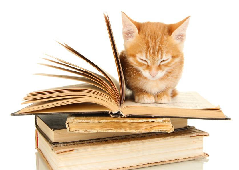 Cat Tales are Tales told by cats or about cats. Did you think I said Cat Tails? How about a list of famous cats in literature. A list of over 60 books about cats.