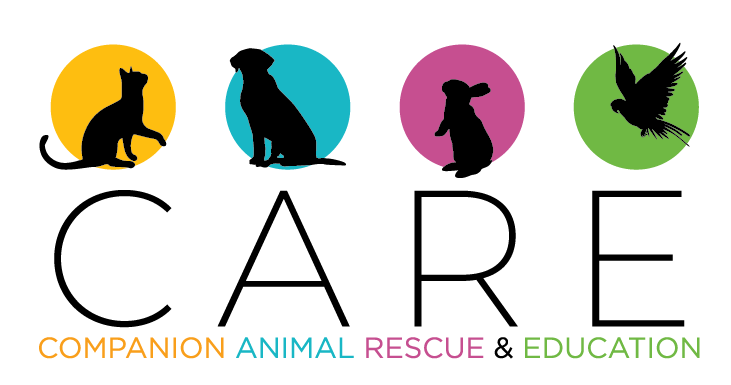 companion-animal-rescue-education-care-7491843