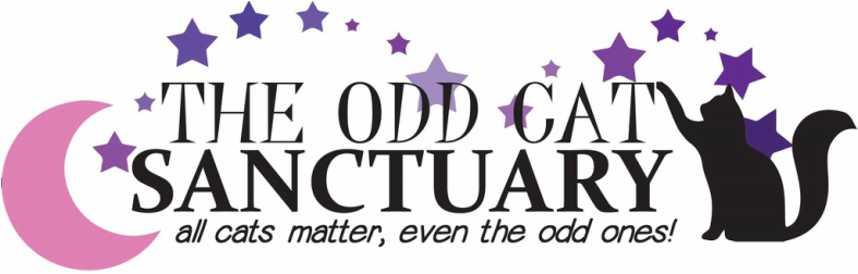 The Odd Cat Sanctuary - They believe all cats matter, even the odd ones. #OddCat #OddCatSanctuary