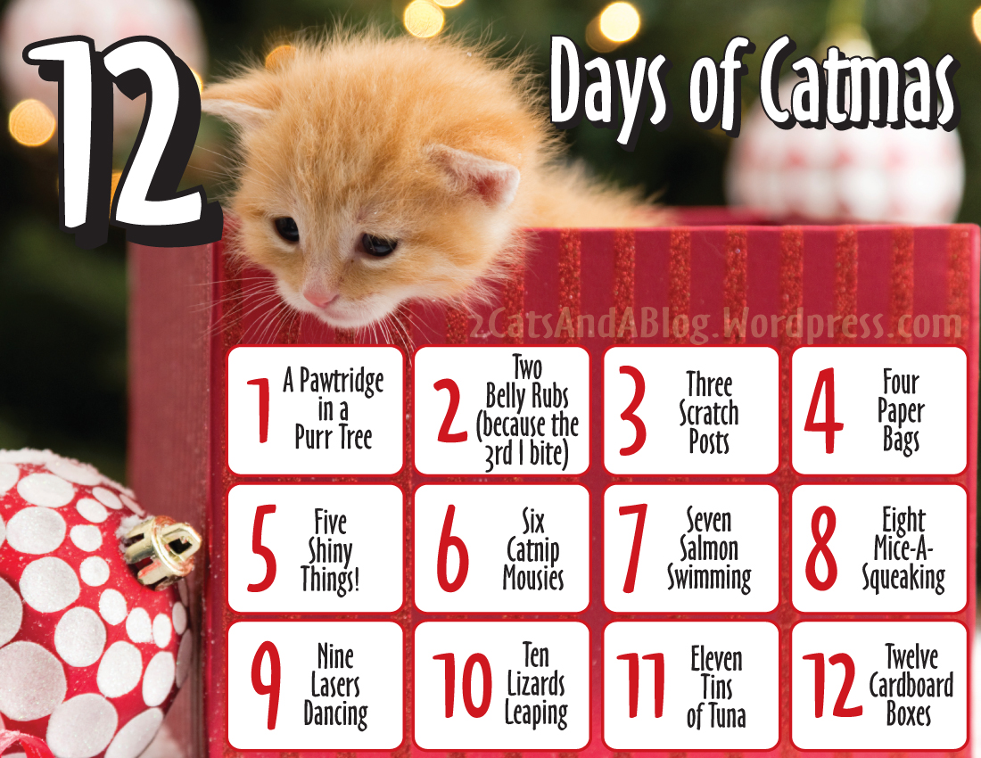 12 Days of CatMas