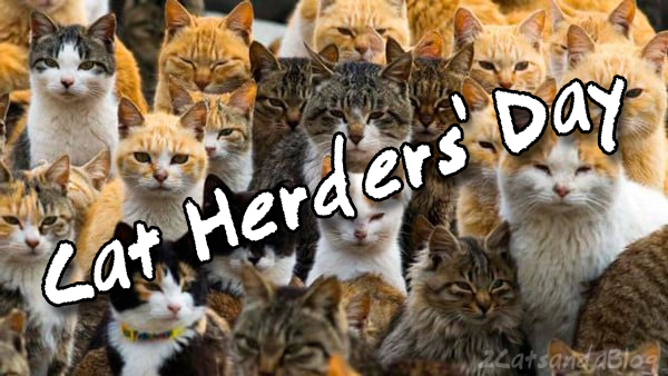 Cat Herder's Day