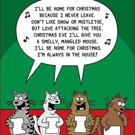 Cat Christmas Songs (Cat CatMas Songs) | Metzger Comic