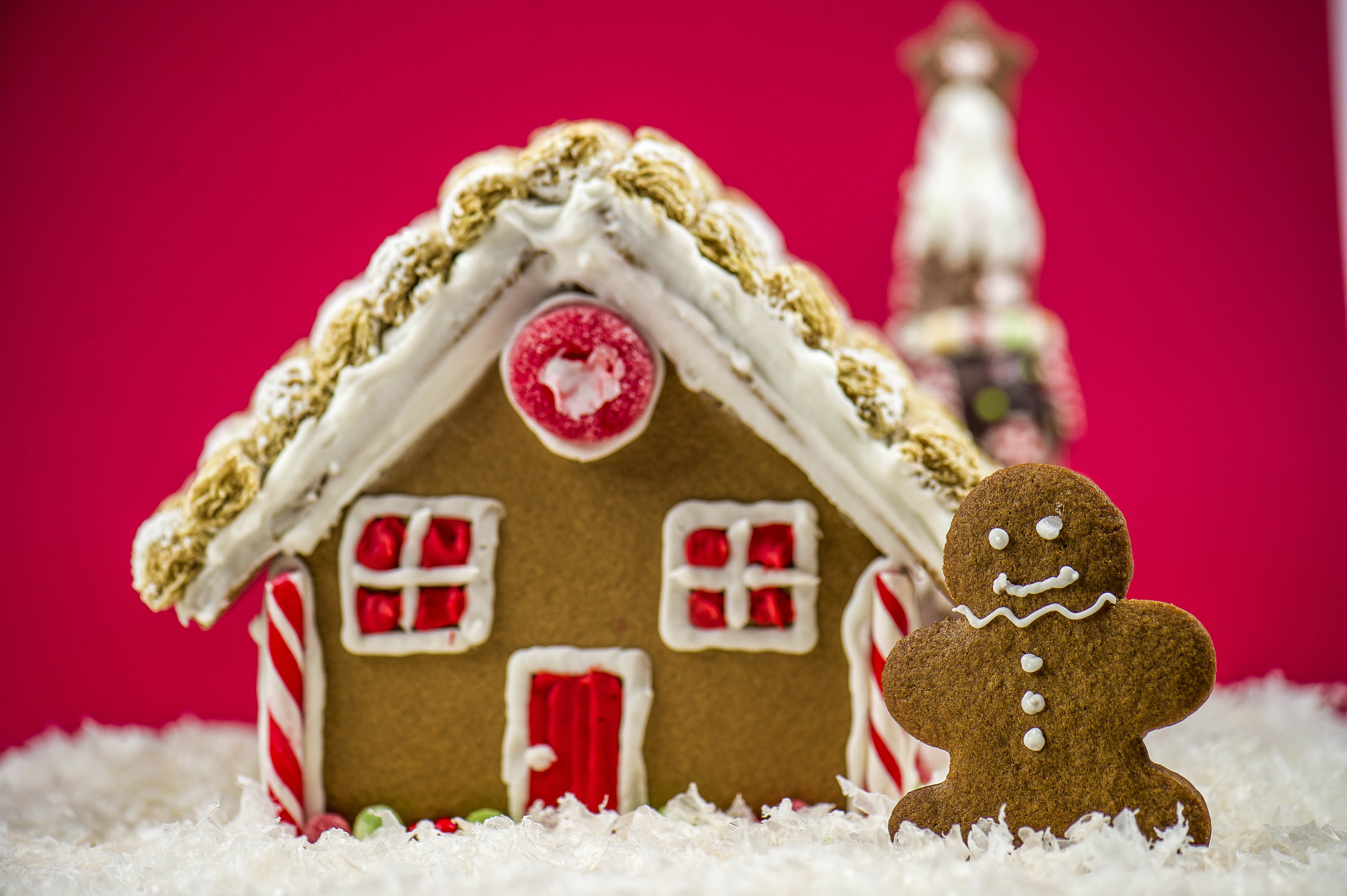 Gingerbread House Day - Now there is a day set aside for a favorite Christmas pastime when families get together and build a Gingerbread House.
