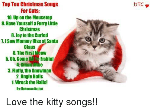 Cat Christmas Songs (Cat CatMas Songs)