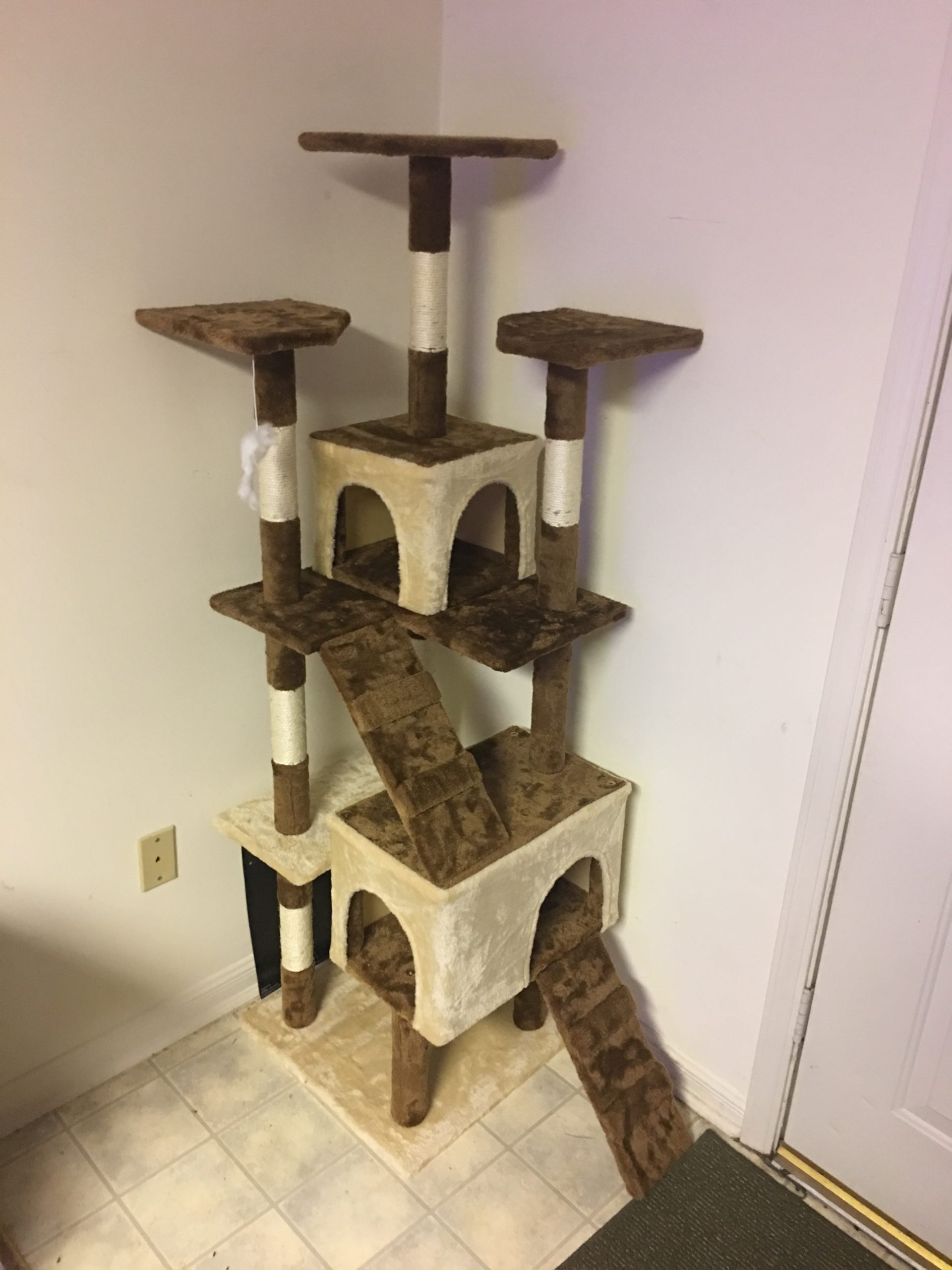 Cat Scratcher Cottage