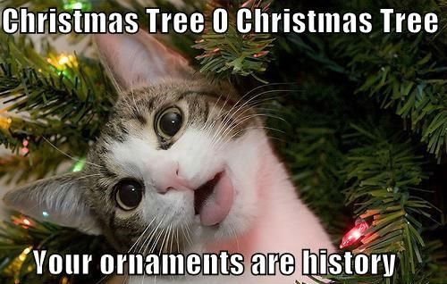 Christmas Tree O Christmas Tree Your ornaments are history