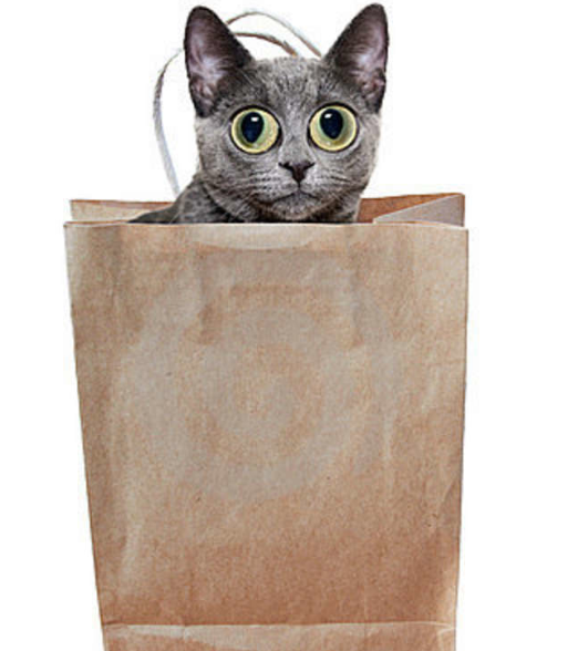 Letting the cat out of the bag is far easier than putting it back in - This is a true statement. It is very hard to put a cat in a bag, than to take him out of the bag.