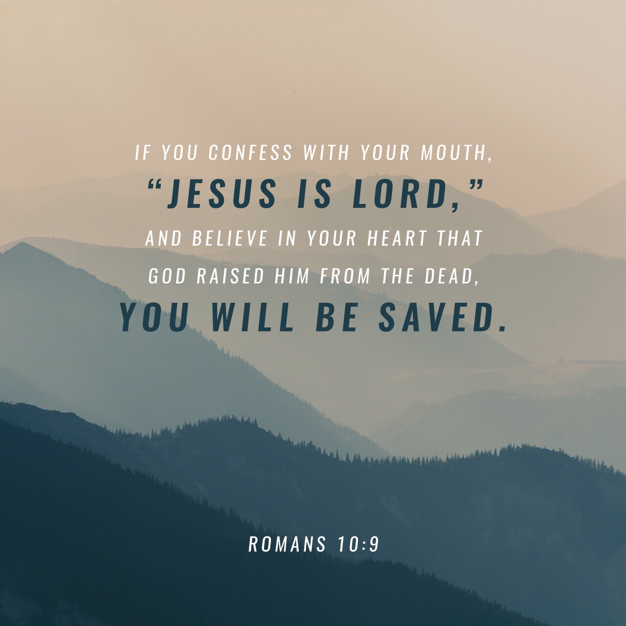 VOTD June 19, 2019 “that if you confess with your mouth Jesus as Lord, and believe in your heart that God raised Him from the dead, you will be saved;” ‭‭ROMANS‬ ‭10:9‬ ‭NASB‬‬