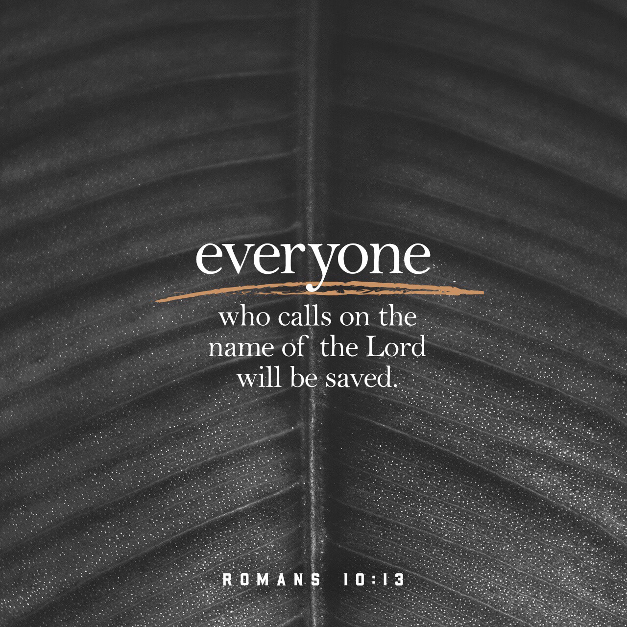 VOTD July 3, 2019 - for WHOEVER WILL CALL ON THE NAME OF THE LORD WILL BE SAVED. ROMANS‬ ‭10:13‬ ‭NASB‬‬