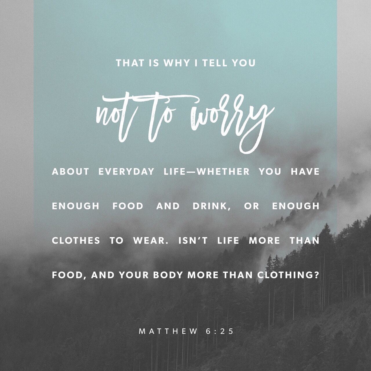 VOTD July 6, 2019 - For this reason I say to you, do not be worried about your life, as to what you will eat or what you will drink; nor for your body, as to what you will put on. Is not life more than food, and the body more than clothing? MATTHEW‬ ‭6:25‬ ‭NASB‬‬