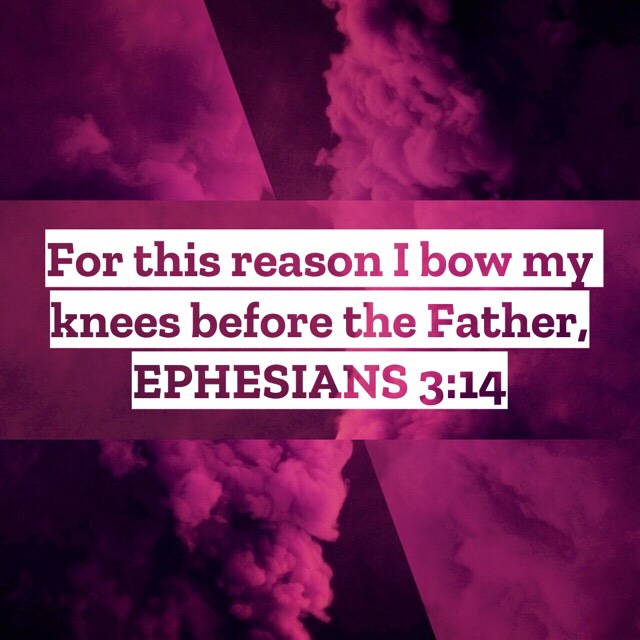 VOTD July 7, 2019 - For this reason I bow my knees before the Father, EPHESIANS‬ ‭3:14‬ ‭NASB‬‬