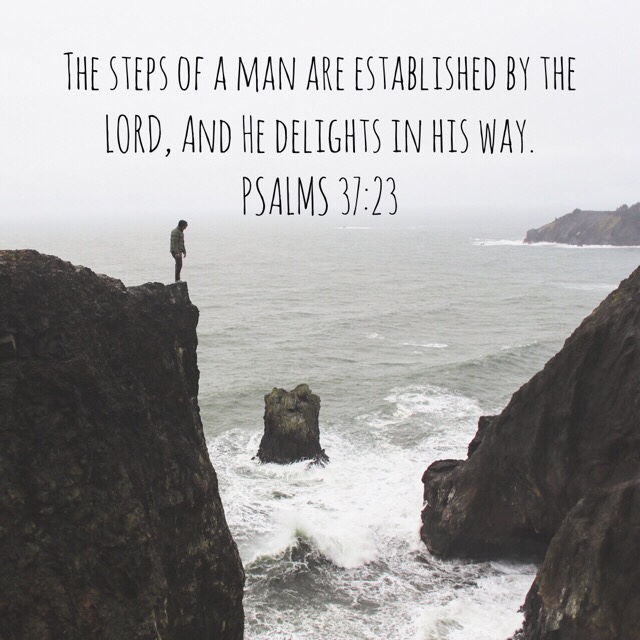 VOTD July 17, 2019 - The steps of a man are established by the LORD, And He delights in his way. PSALM 37:23‬ ‭NASB‬‬