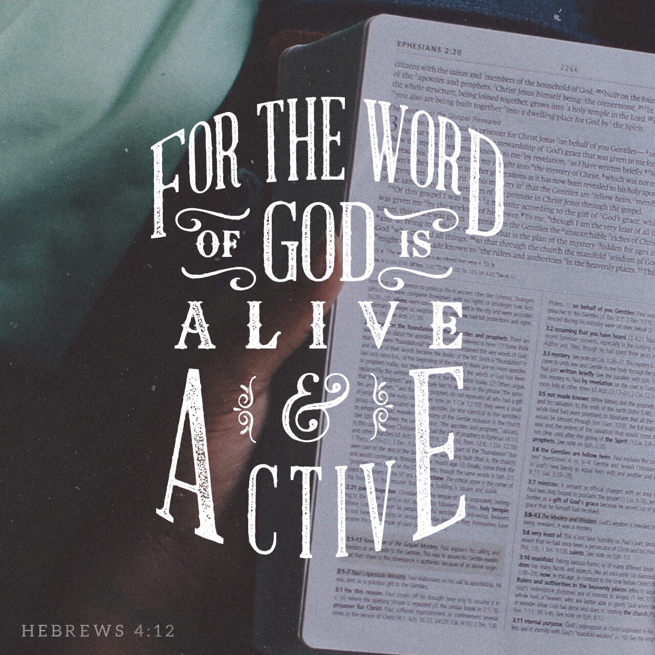 VOTD July 22, 2019 - For the word of God is living and active and sharper than any two-edged sword, and piercing as far as the division of soul and spirit, of both joints and marrow, and able to judge the thoughts and intentions of the heart. HEBREWS‬ ‭4:12‬ ‭NASB‬‬ 