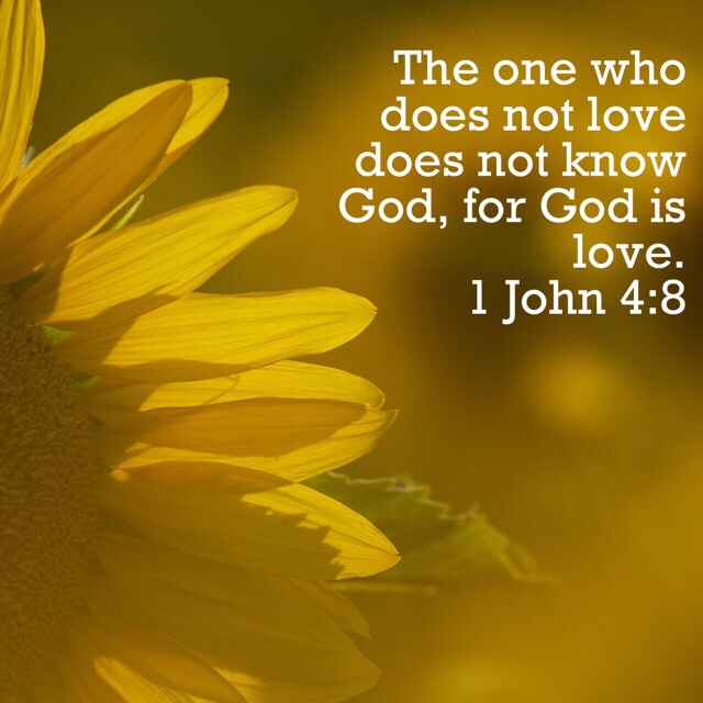 VOTD August 13 - The one who does not love does not know God, for God is love. 1 John‬ ‭4:8‬ ‭NASB‬‬