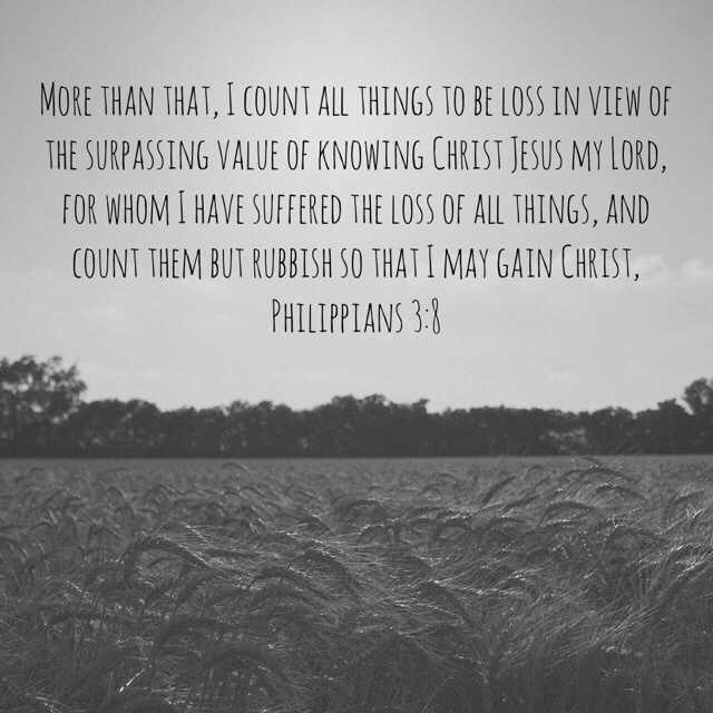 VOTD August 30 - More than that, I count all things to be loss in view of the surpassing value of knowing Christ Jesus my Lord, for whom I have suffered the loss of all things, and count them but rubbish so that I may gain Christ,  Philippians 3:8 NASB
