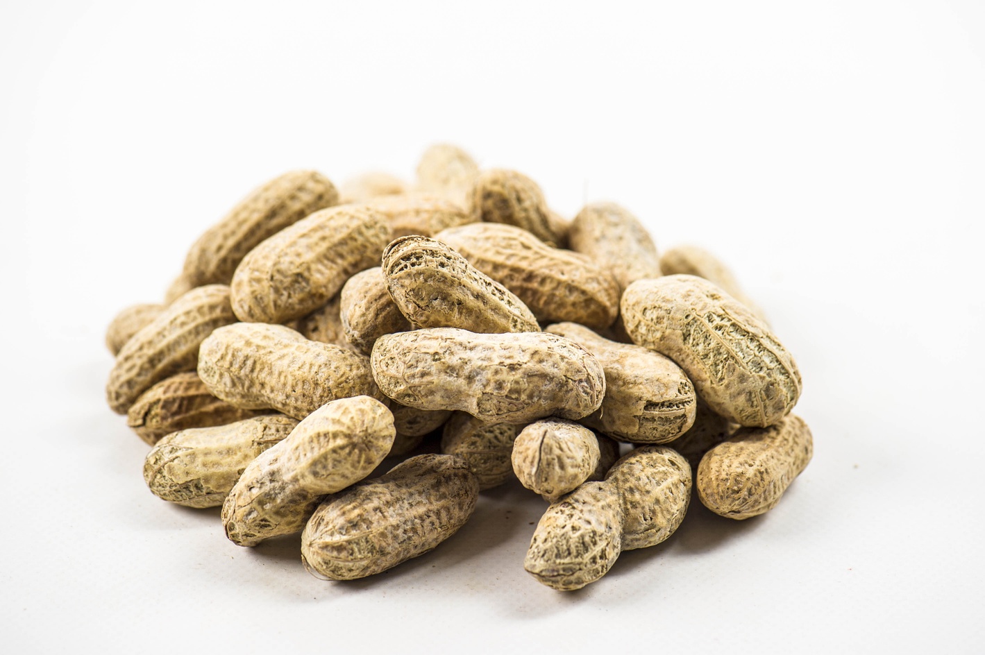 Exploring the history of peanuts - Peanuts and their creamy offshoot, peanut butter, are popular snack foods and lunchtime staples. The distinct and mild flavor of peanuts attracts many people to these shelled legumes, which many might be surprised to learn aren't true nuts.