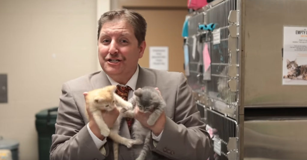 The best Cat Adoption Video ever! Thanks Sioux Falls Area Humane Society! I wished more places would do a video like this!