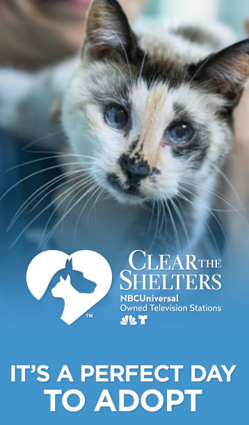 Clear the Shelters - Hundreds of animals across East Tennessee are looking for a forever home. Many NBC and Telemundo owned stations are partnering with local animal shelters to host Clear the Shelters, a nationwide push to encourage pet adoption. #CleartheShelters