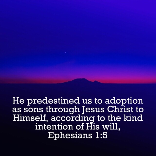 VOTD September 16 - He predestined us to adoption as sons through Jesus Christ to Himself, according to the kind intention of His will. Ephesians‬ ‭1:5‬ ‭NASB‬‬